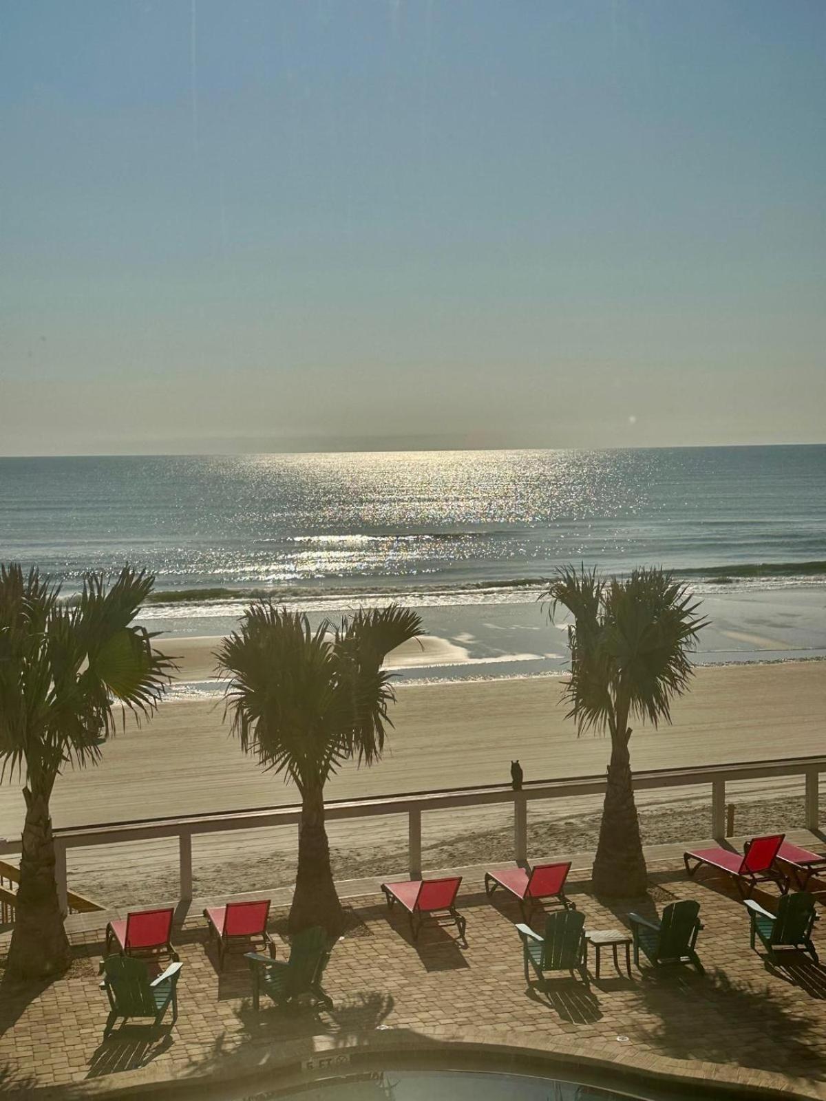 Flamingo Inn Beachfront - Daytona Beach Exterior foto