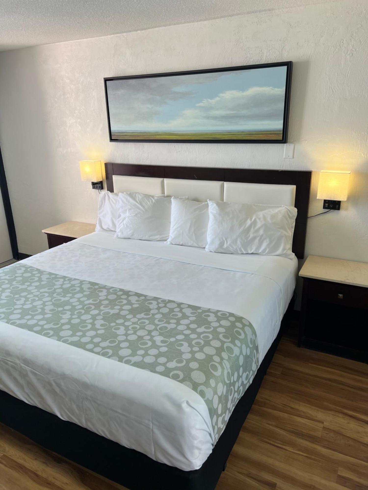 Flamingo Inn Beachfront - Daytona Beach Exterior foto